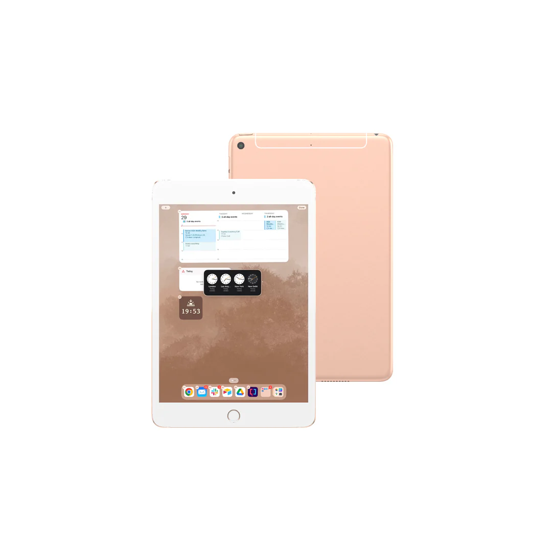 iPad Mini 7.9 inch 5th Gen 2019 (WiFi)